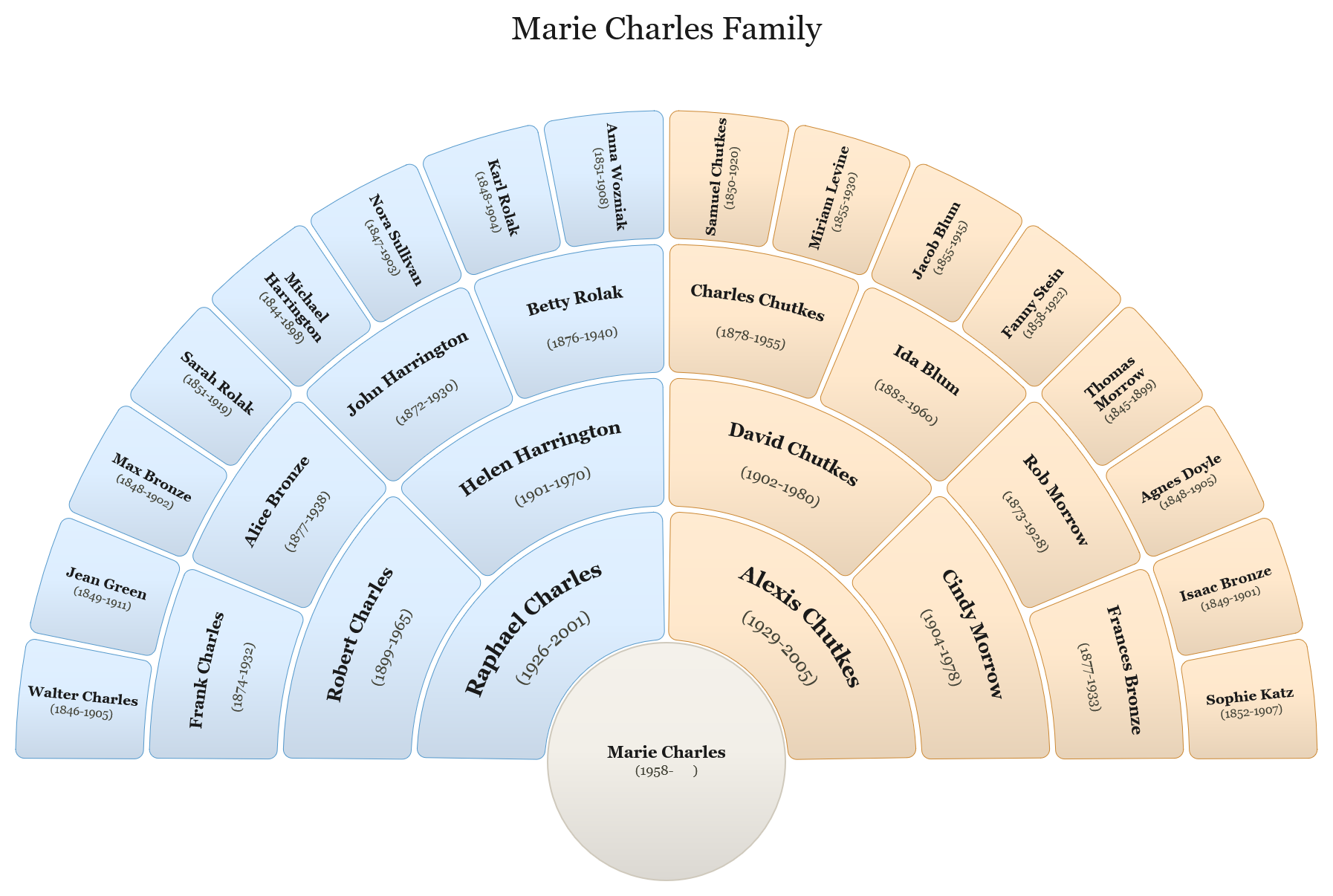 Half-circle fan chart with color-coded ancestor lines